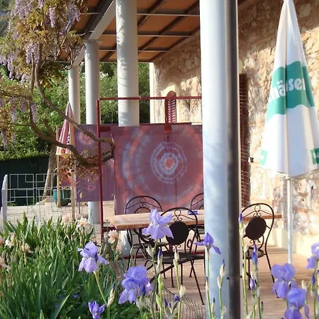 Fucinaia Campiglia Marittima